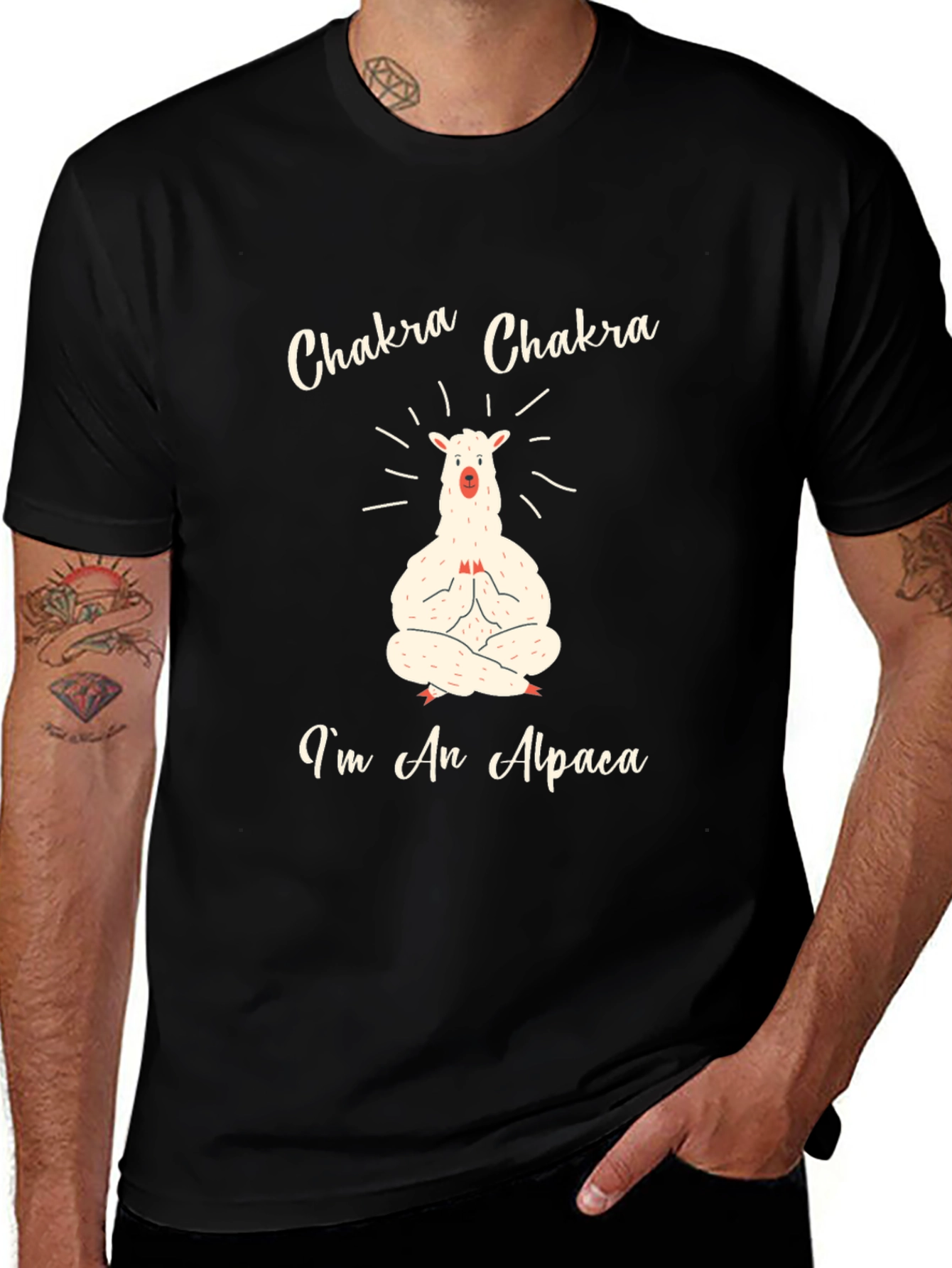 Chakra Alpaca T-Shirt - Meditating Animal Tee