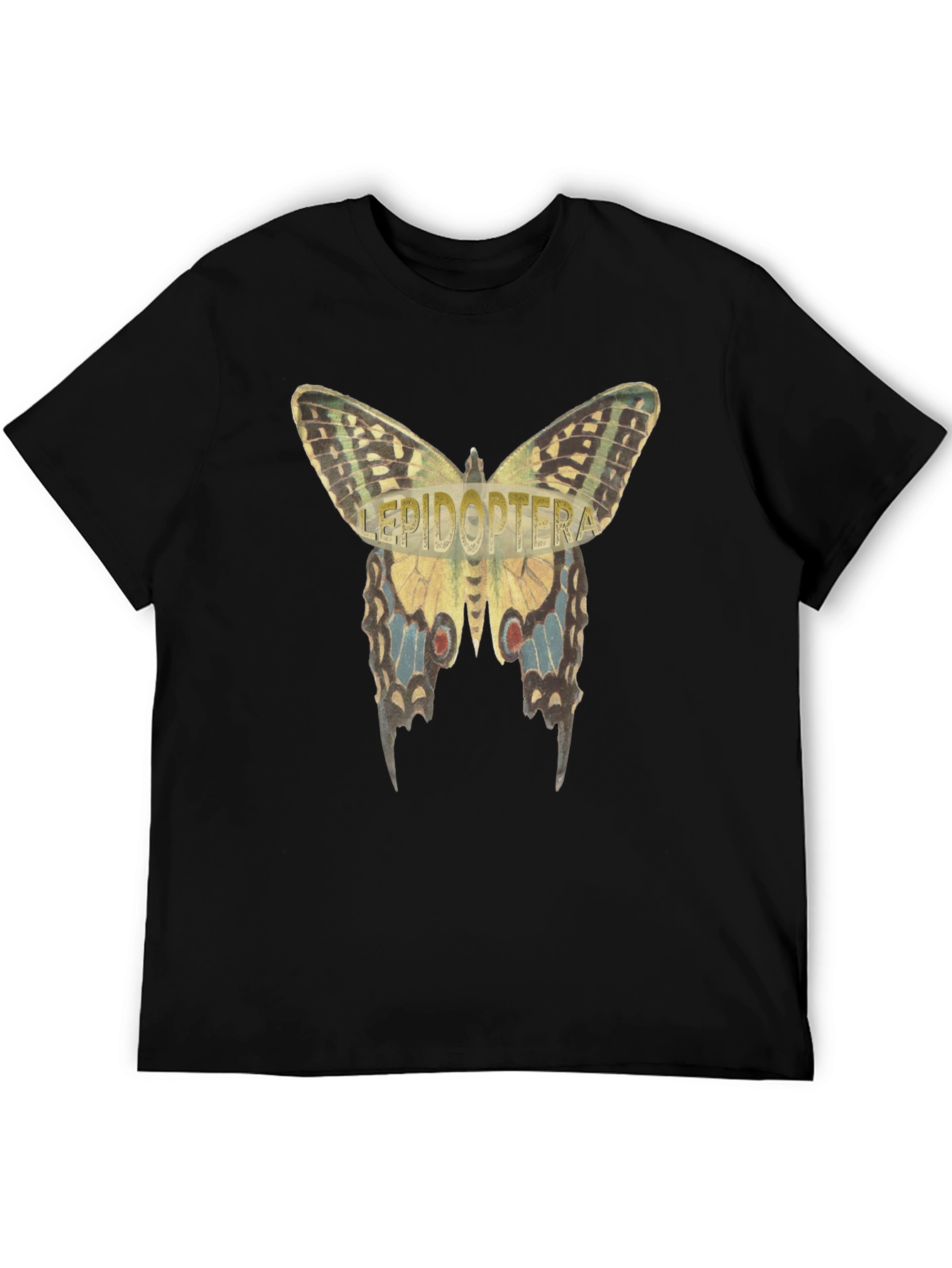 Lepidoptera Butterfly Graphic T-Shirt