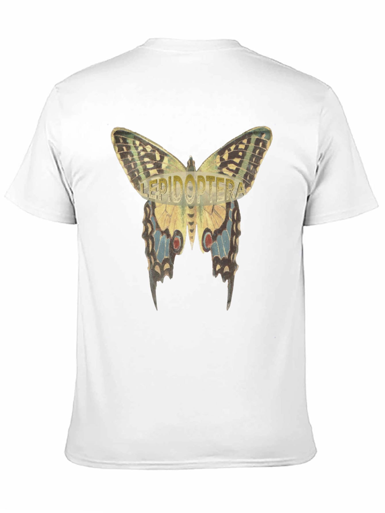 Lepidoptera Butterfly Graphic T-Shirt
