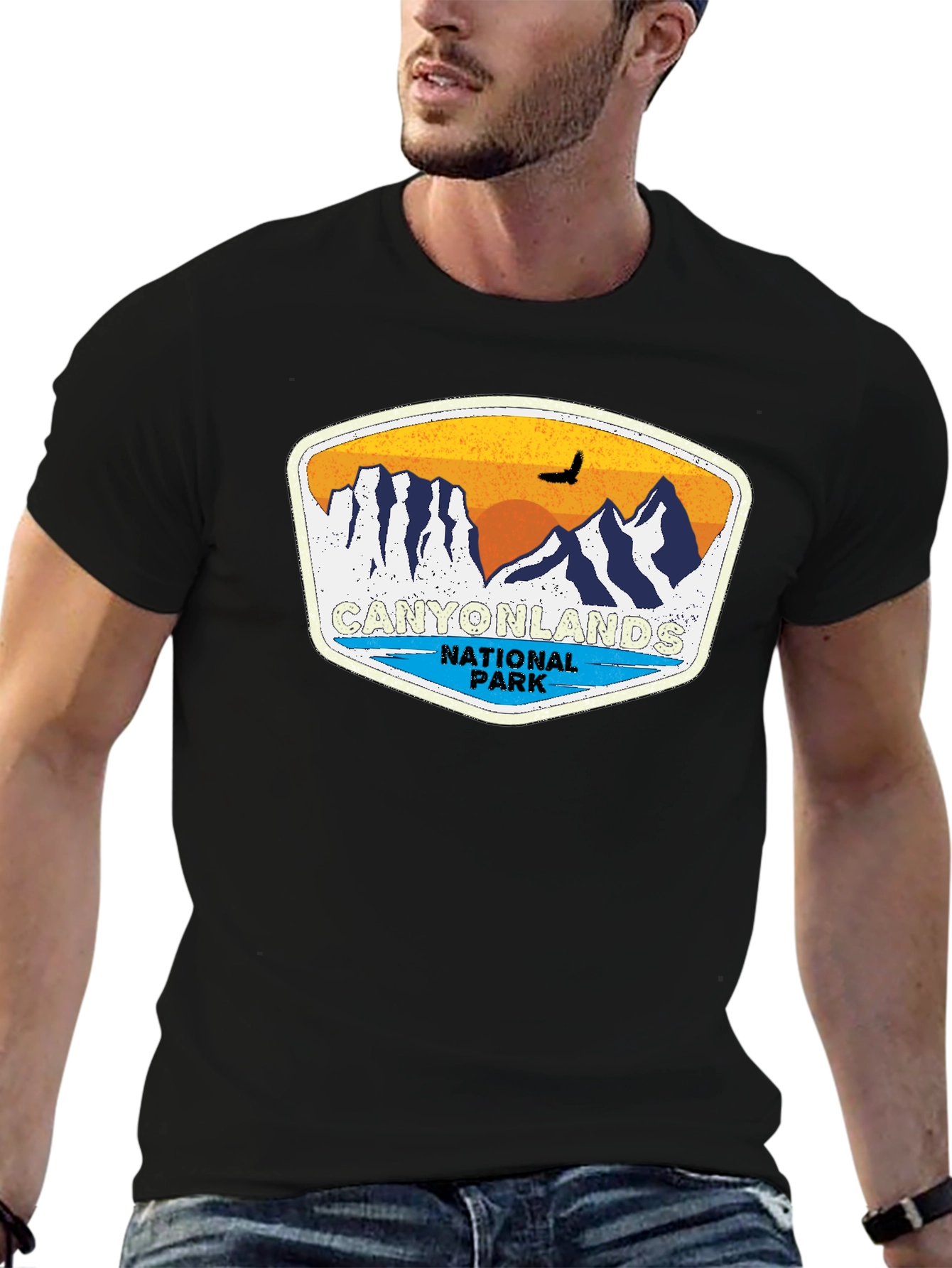 Canyonlands National Park Graphic Tee - Black