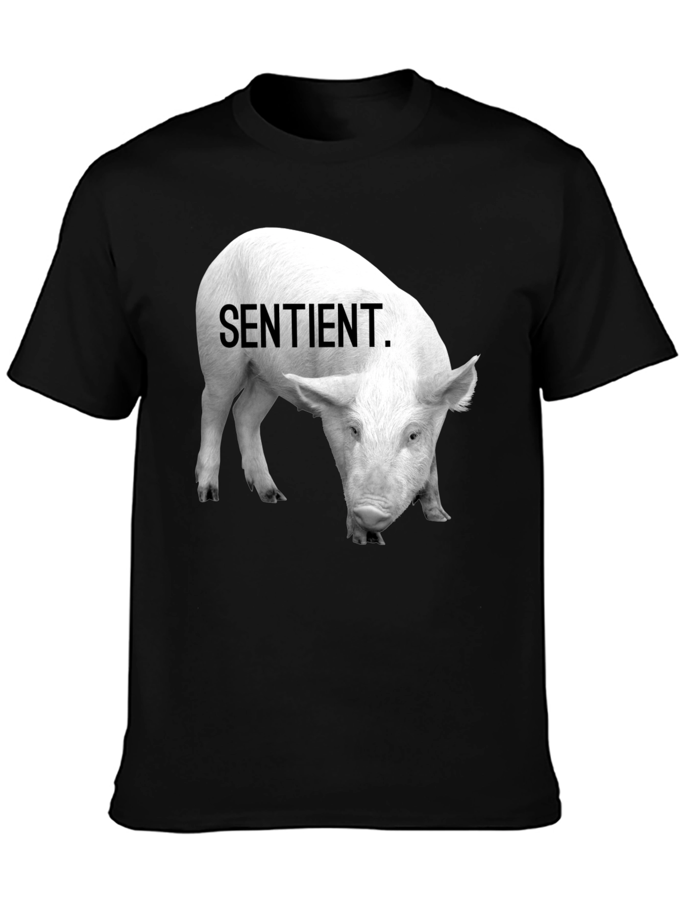 Sentient Pig Graphic Tee - Vegan Activism Shirt