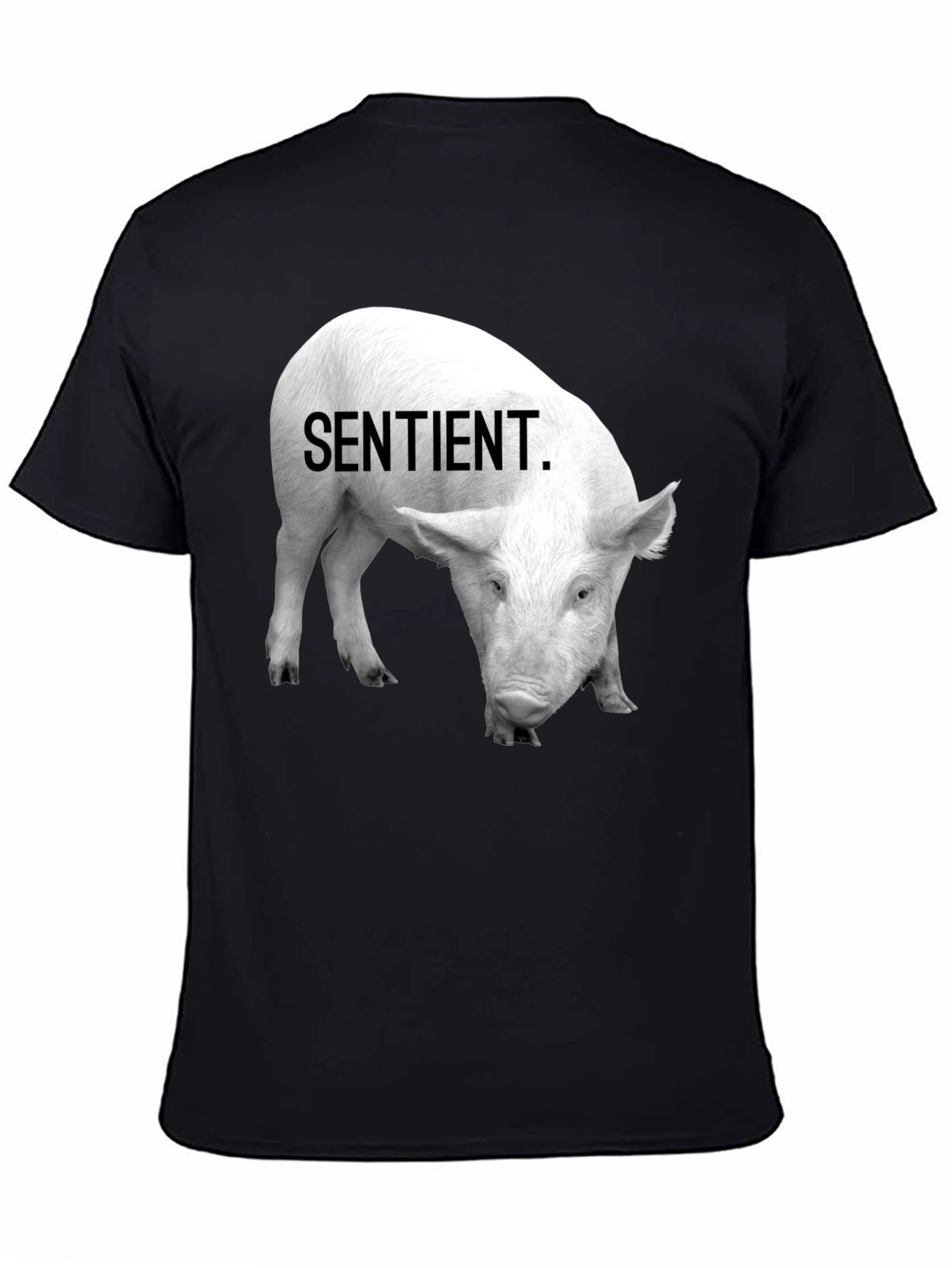 Sentient Pig Graphic Tee - Vegan Activism Shirt