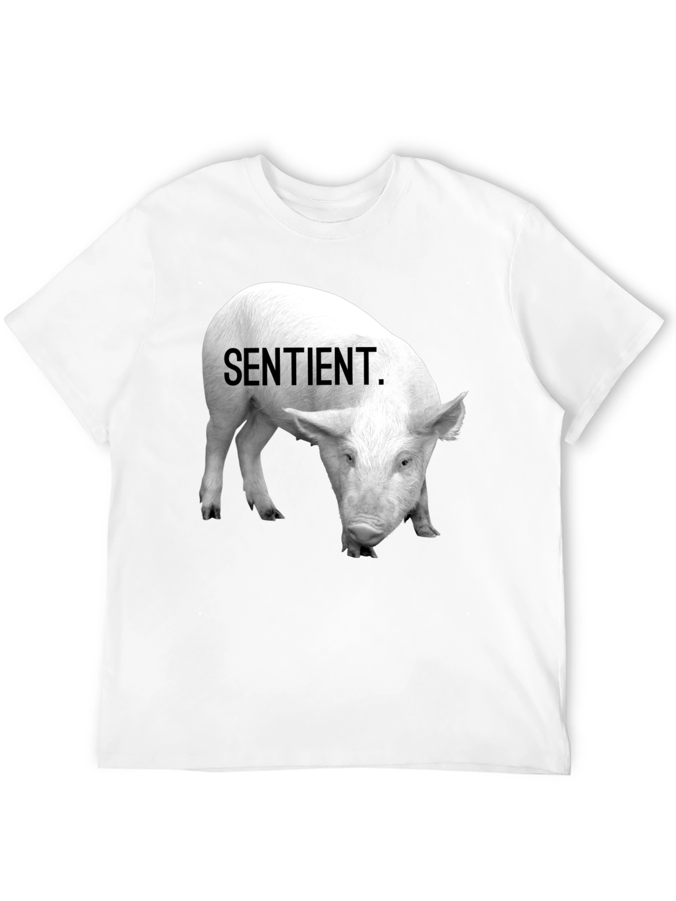 Sentient Pig Graphic Tee - Vegan Activism Shirt