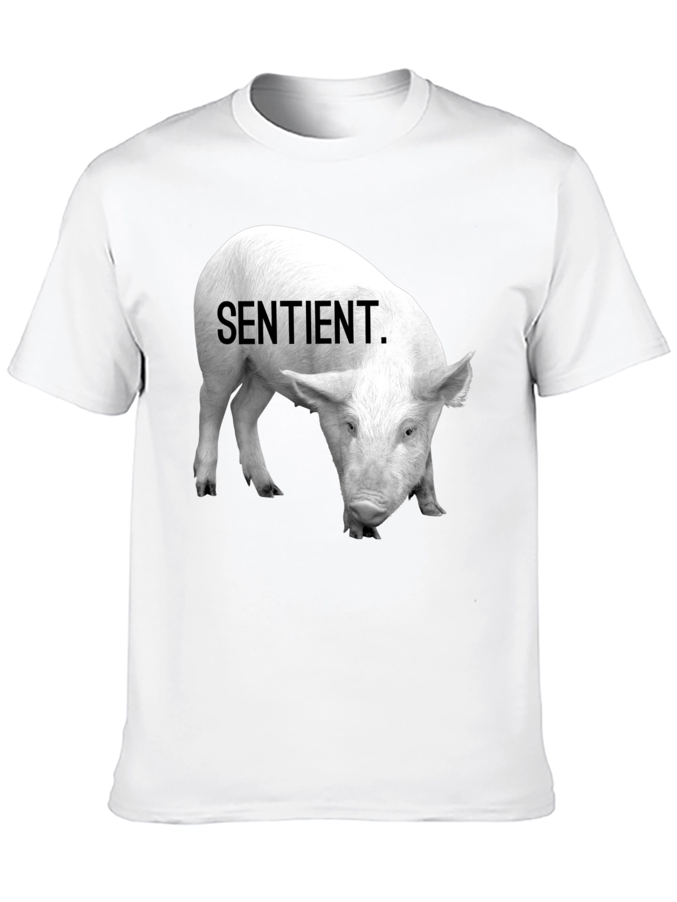 Sentient Pig Graphic Tee - Vegan Activism Shirt